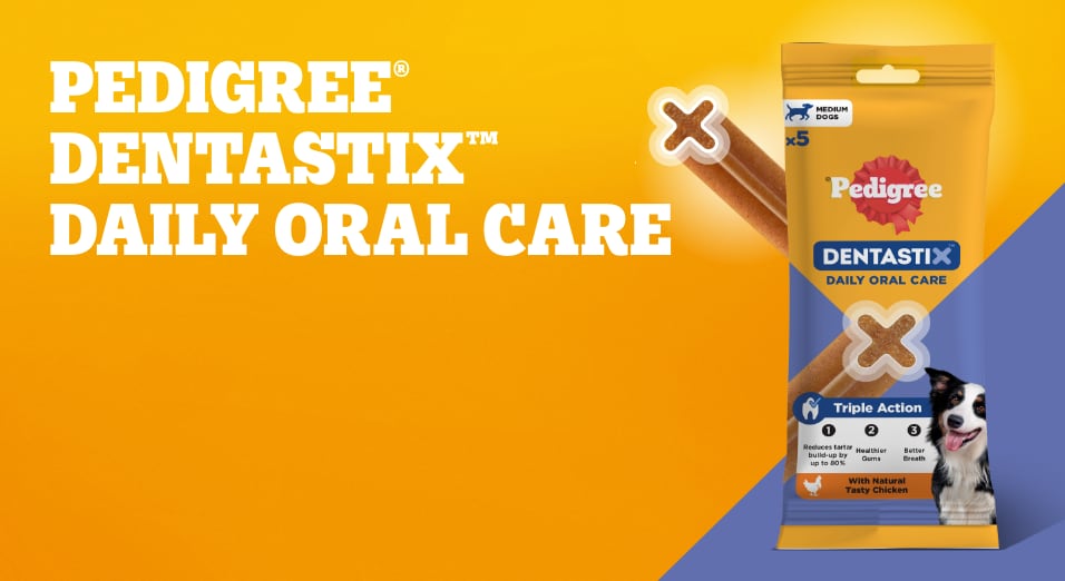 Dentastix daily oral care