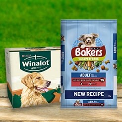 Dog food and treats