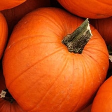 Pumpkins