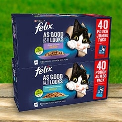 Cat food and litter