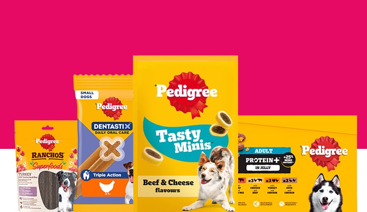 Shop Pedigree dog food and accessories