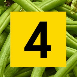 Fresh 4