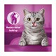 image 4 of Whiskas Dentabites Cat Treat Biscuits Chicken 50g
