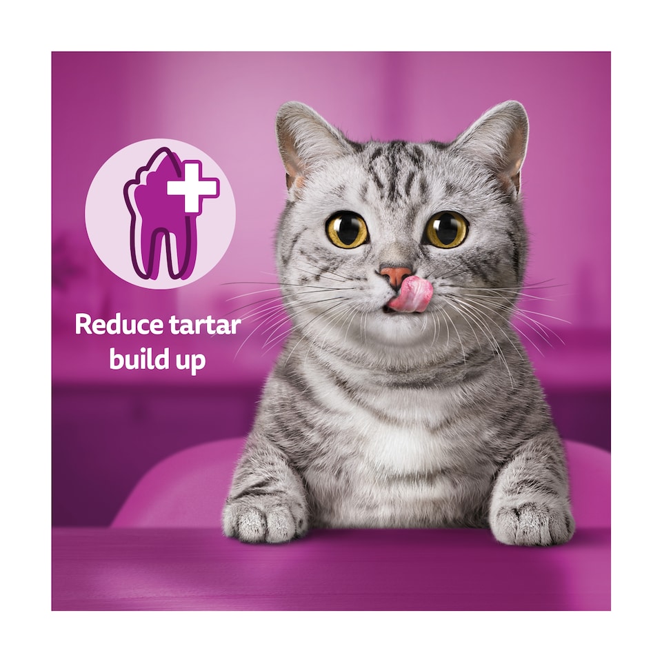 image 1 of Whiskas Dentabites Cat Treat Biscuits Chicken 50g