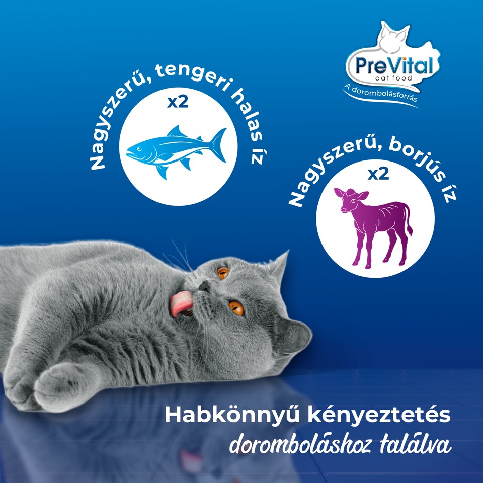 PreVital Mousse nedves macskaeledel, macskatáp kölyökmacskáknak pástétom konzerv 4 x 85 g  1. kép