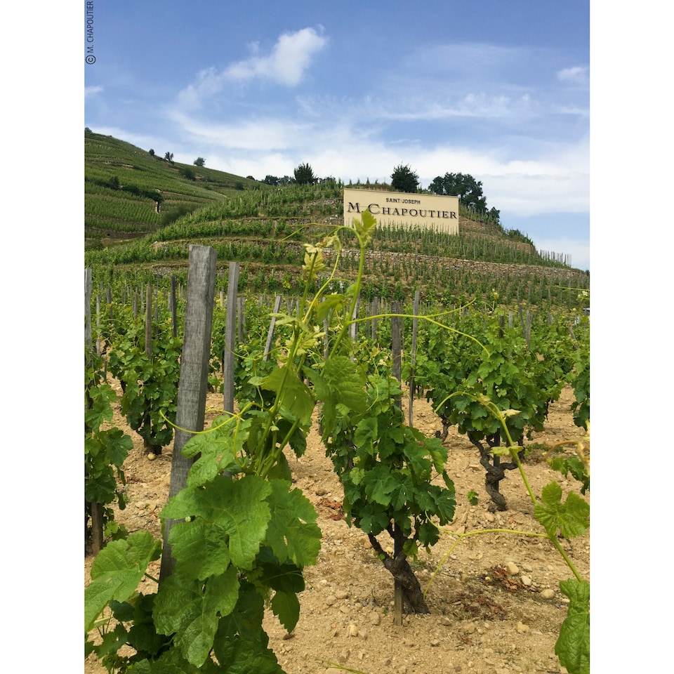 image 1 of Chapoutier Cotes Du Rhone Villages 75Cl