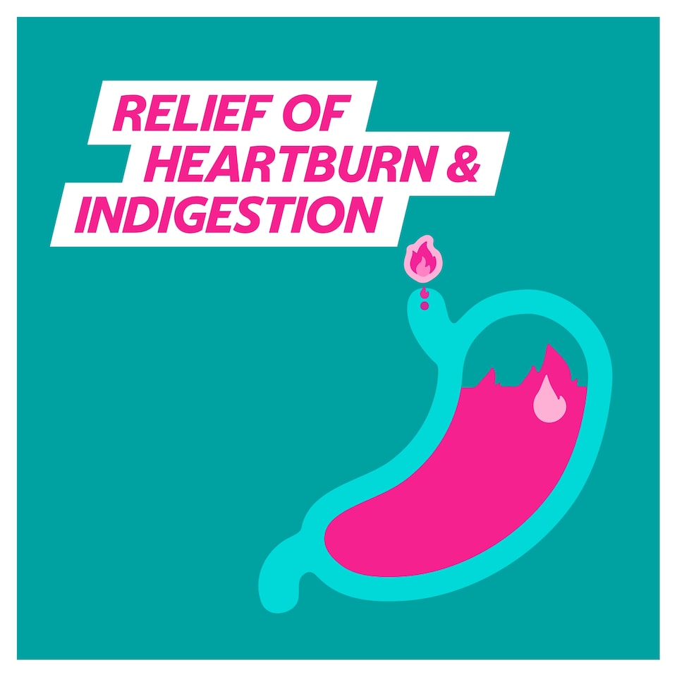 image 1 of Gaviscon Double Action Mint Heartburn & Indigestion Chewable Tablets 12s