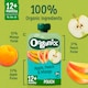 image 2 of Organix Apple, Peach & Mango Pouch 100g