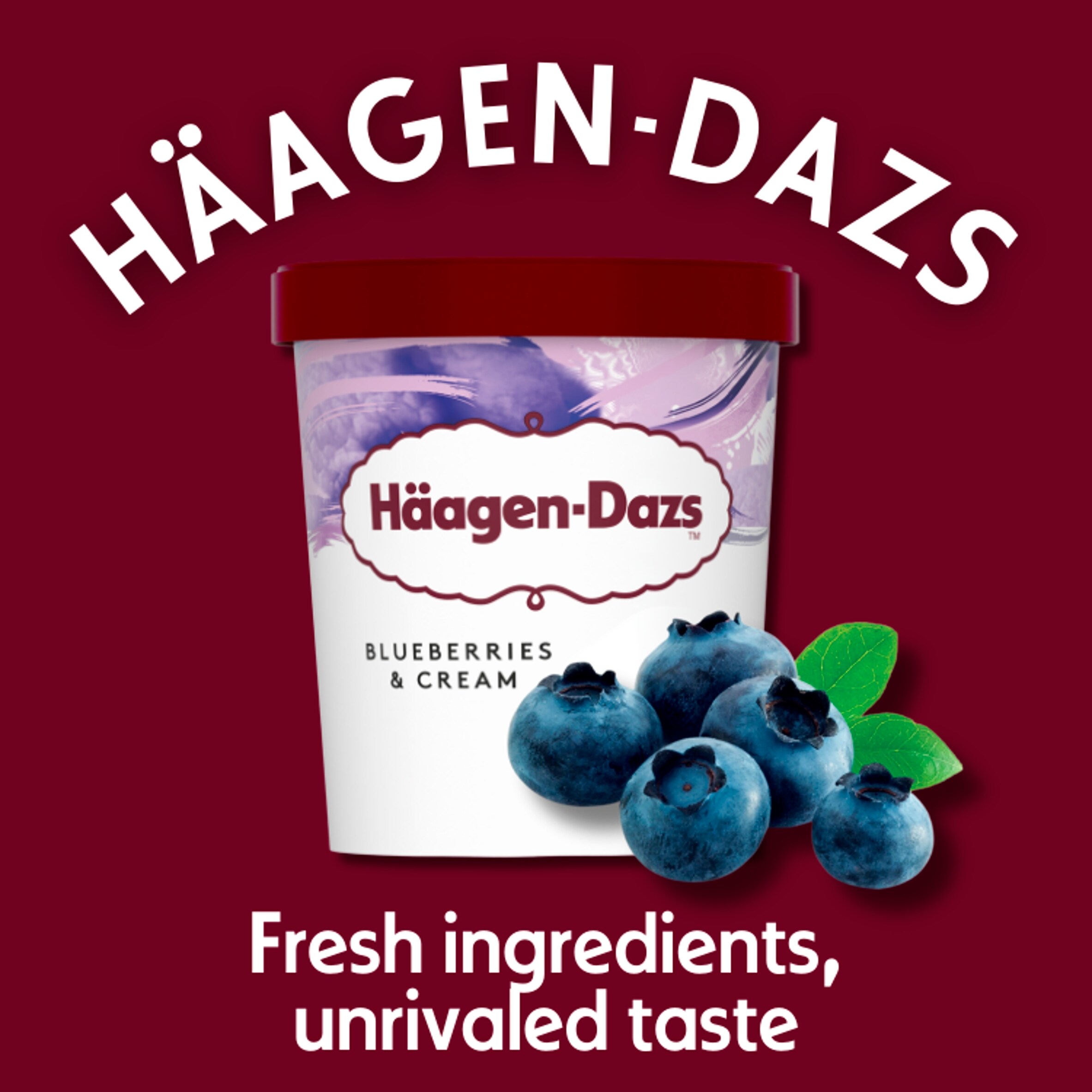 Haagen-Dazs Blueberries and Cream Ice Cream 460ml - Tesco Groceries