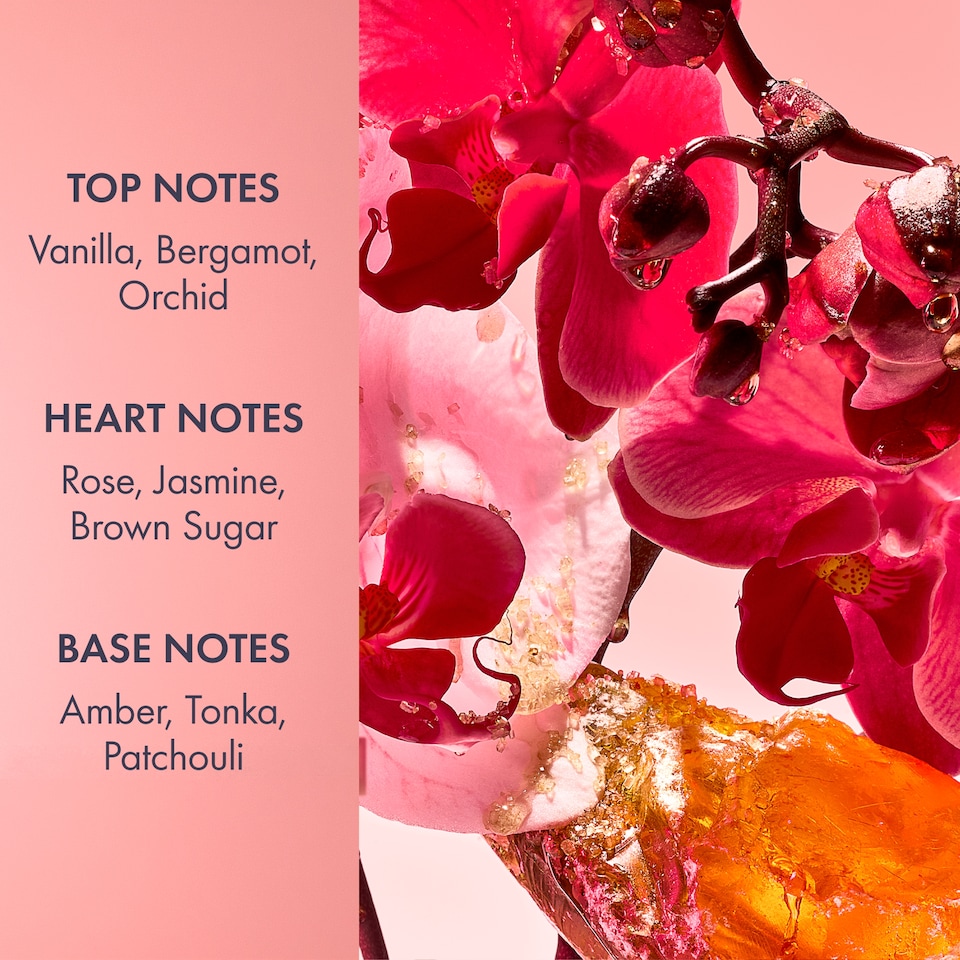 image 1 of Ted Baker Fusion Midnight Petal Pampering Vanity Case