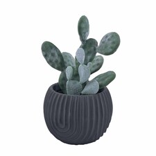 Bayswood Artifcl Cactus In Black Pot