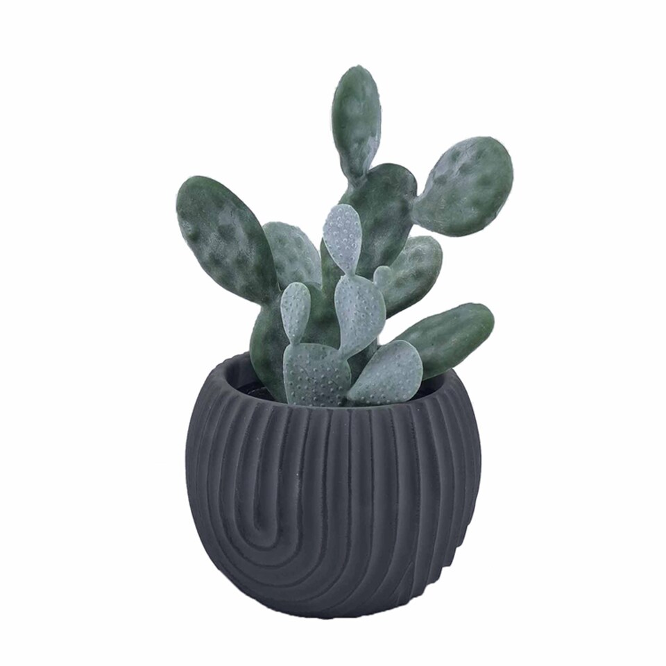 Bayswood Artifcl Cactus In Black Pot