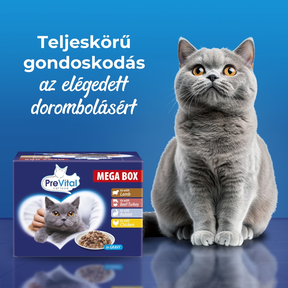 PreVital nedves macskaeledel, macskatáp felnőtt macskáknak szószban alutasakos 24 x 100 g  1. kép