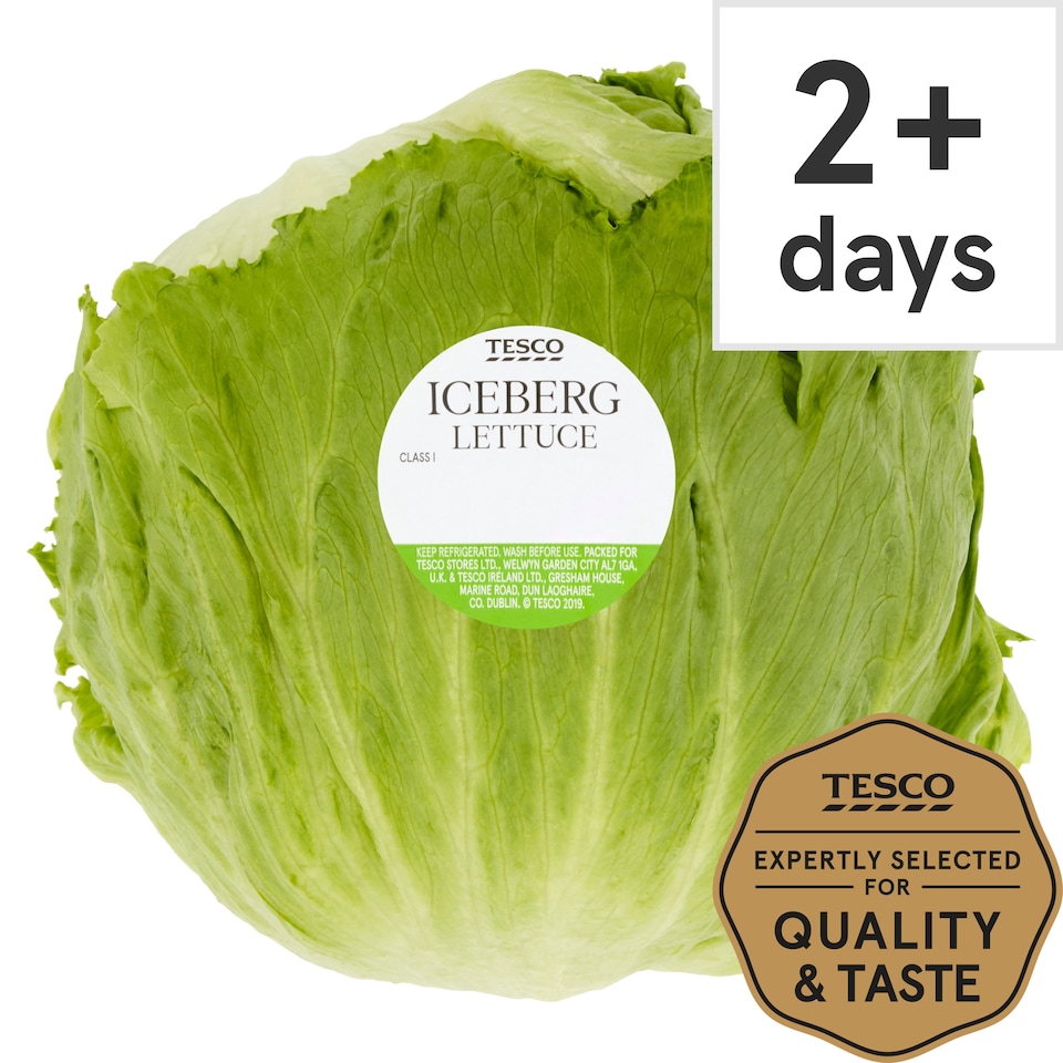 Tesco Iceberg Lettuce Each