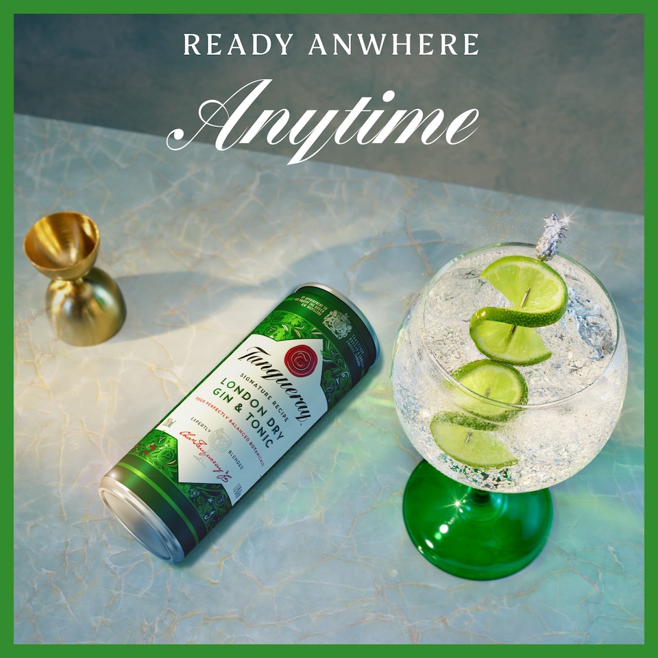 image 1 of Tanqueray London Dry Gin & Tonic Ready to Drink Premix 250ml