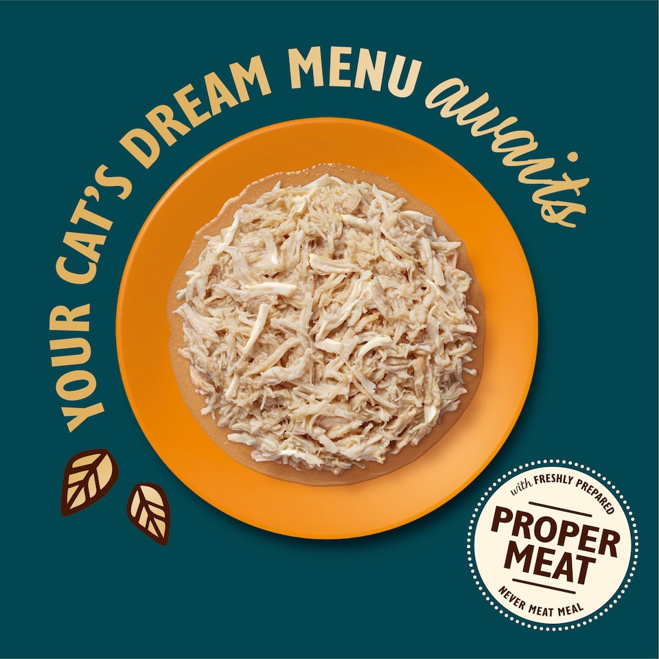 image 1 of Lily's Kitchen Shredded Fillets in Broth Cat Food Multipack 4x70g