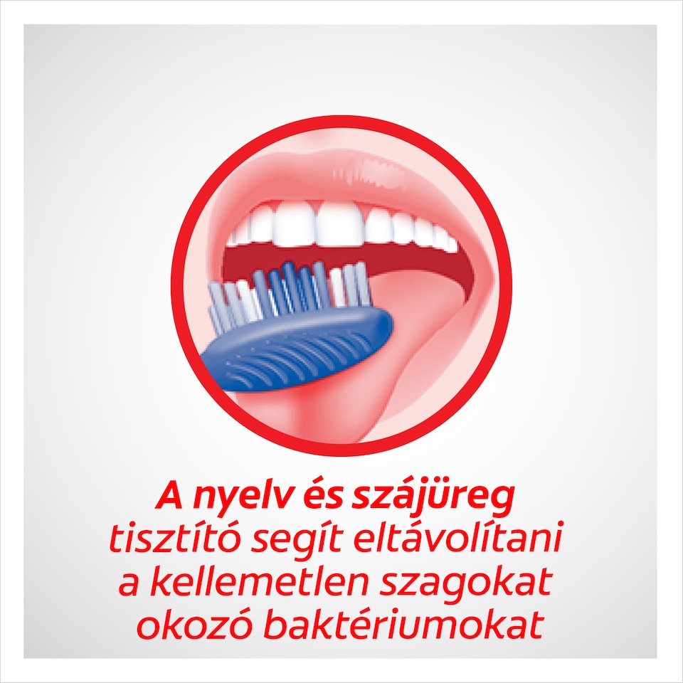 Colgate Premier Clean közepes fogkefe 1 db  1. kép