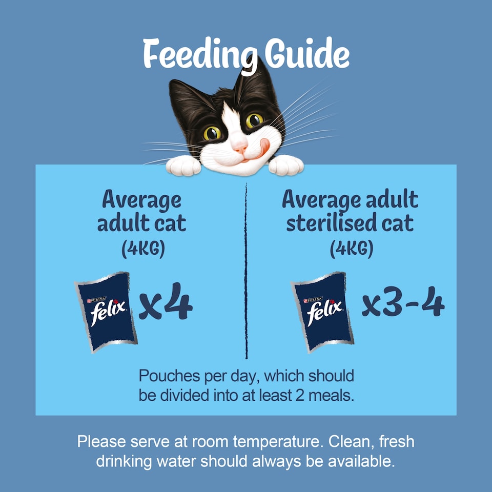 image 1 of Felix Original Fish Selection in Jelly Cat food 40x85g