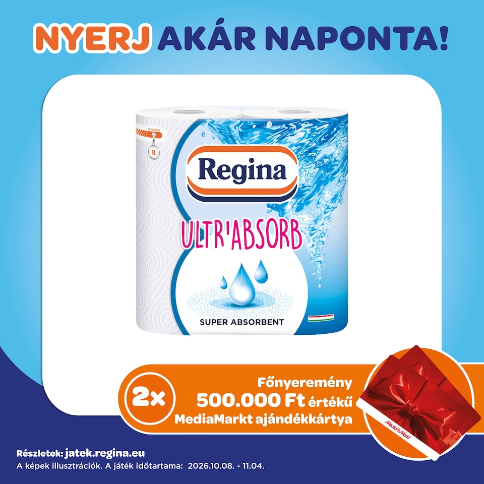 Regina Ultr'Absorb Kitchen Paper Towels 3 Ply 2 Rolls