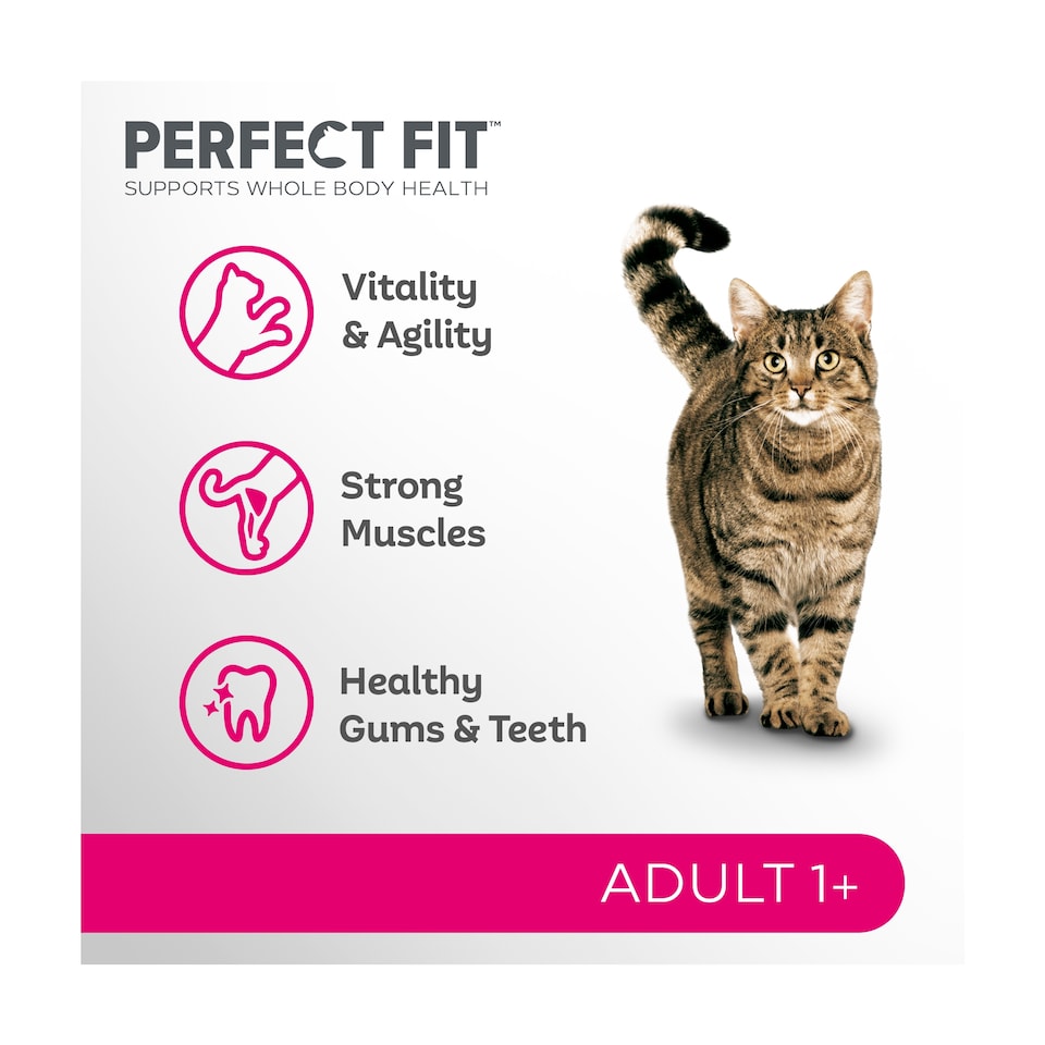image 1 of Perfect Fit Adult 1+ Dry Cat Food - Chicken 750g