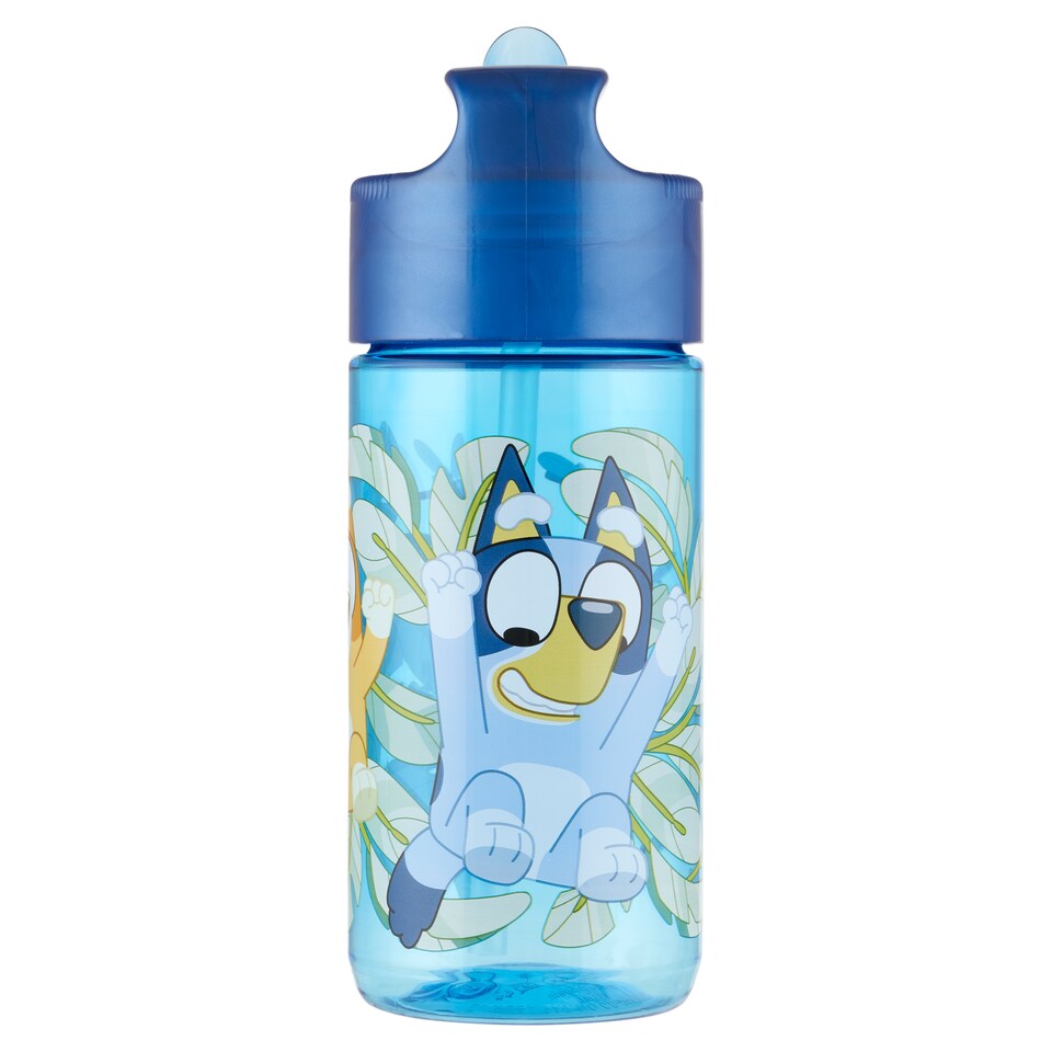 Stor Small Ecozen Bluey Hydro Bottle