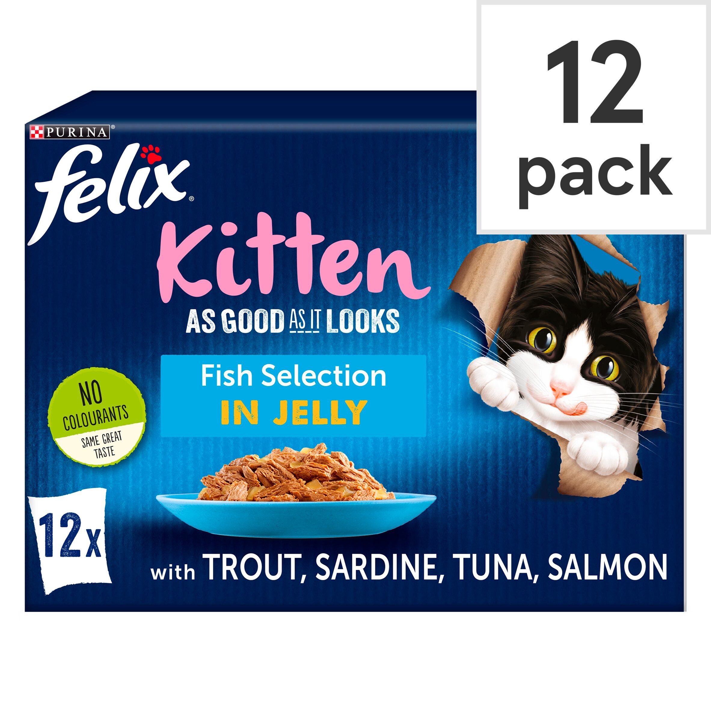 fish for kittens