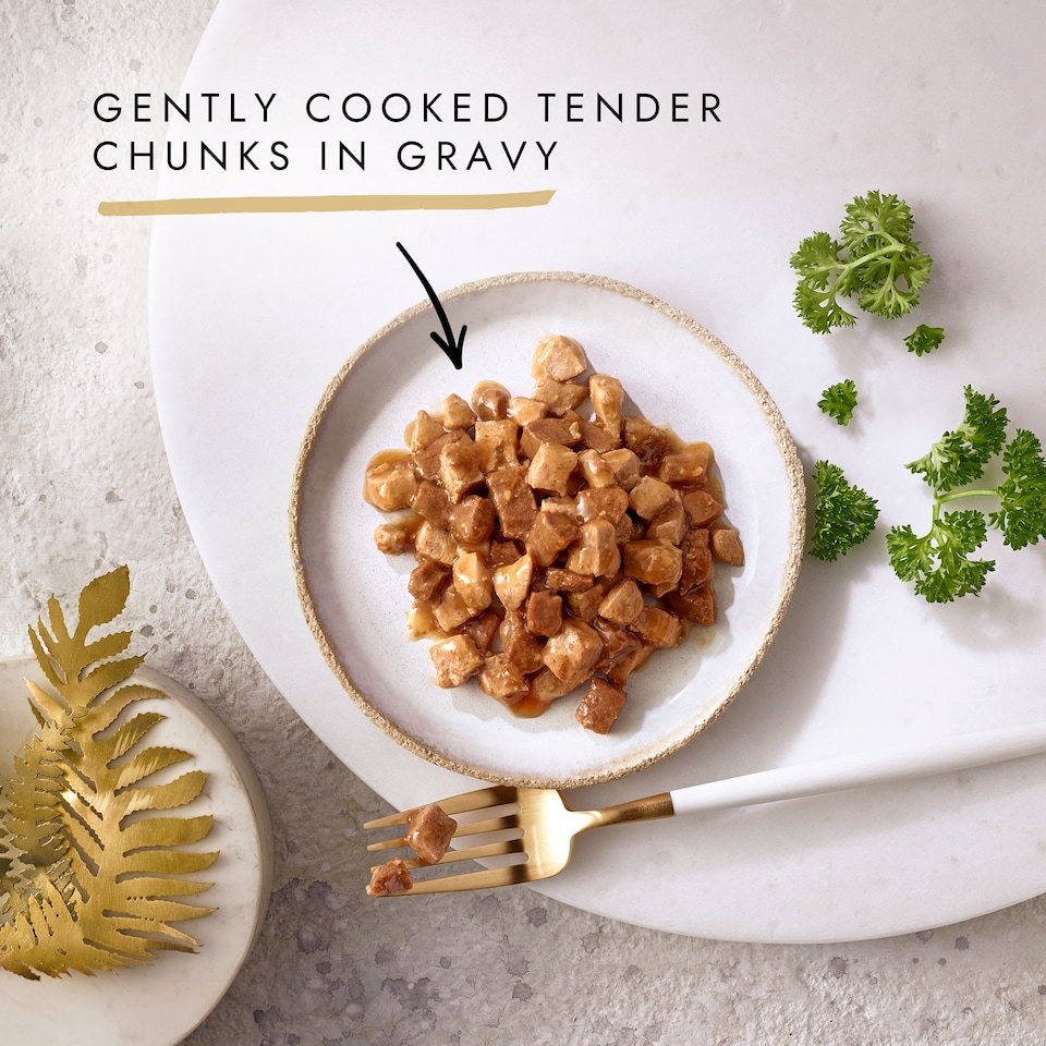 image 1 of Gourmet Gold Chicken & Liver In Gravy 85G