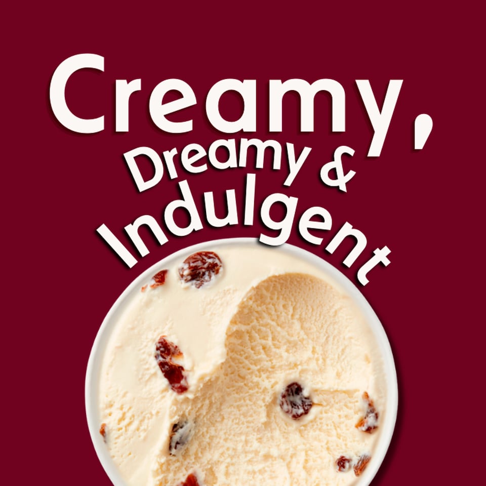 image 1 of Haagen-Dazs Rum Raisin Ice Cream 460ml