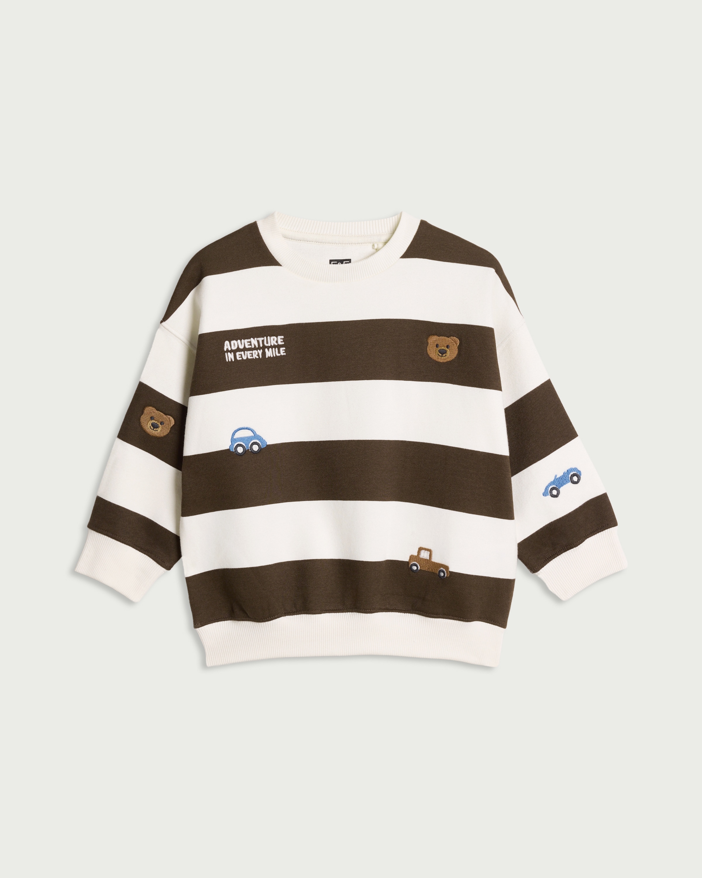 F&F Boys Cotton Rich Striped Embroidered Sweatshirt in Brown