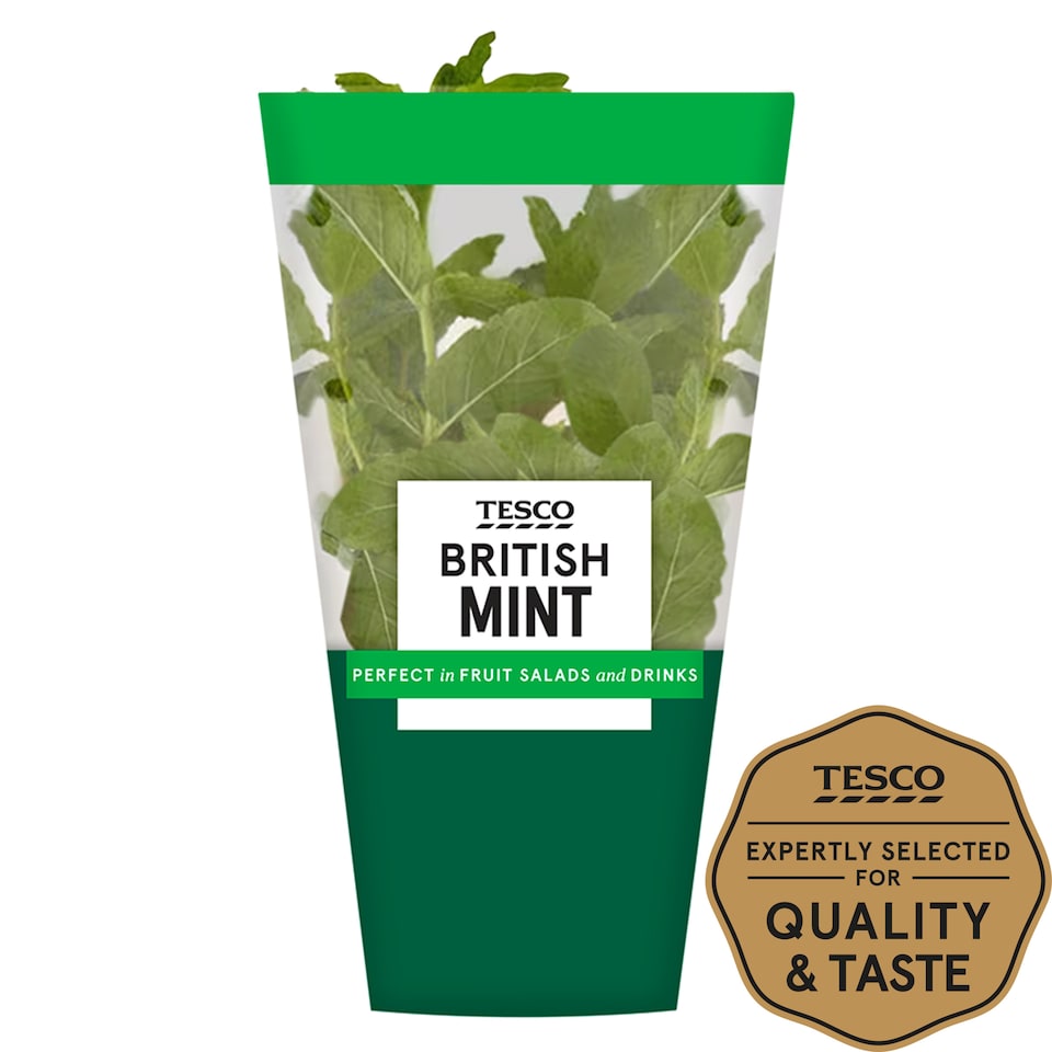 Tesco Growing Mint Medium Pot