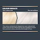 image 2 of Jerome Russell Bblonde Silver Toner 75Ml