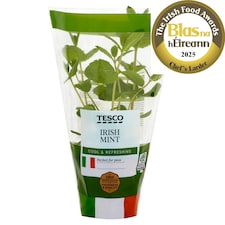 Tesco Growing Herb Mint
