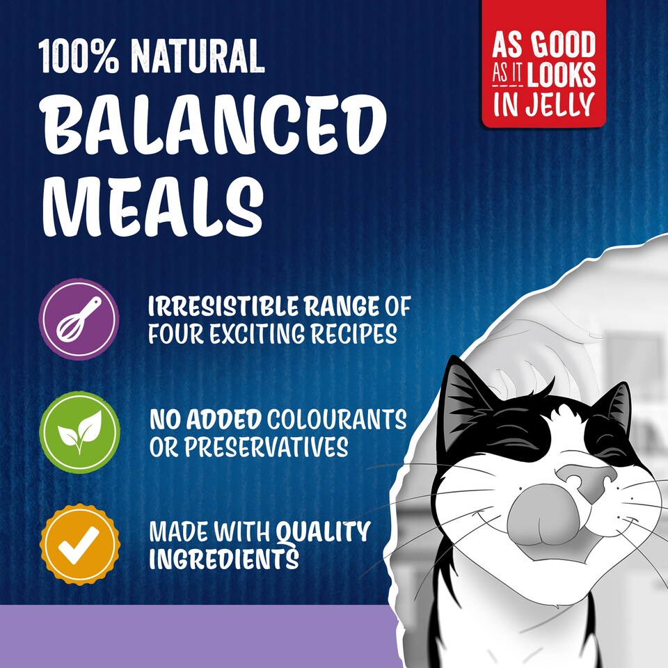 image 1 of Felix As Good As It Looks Favourites Selection in Jelly Wet Cat Food 40x85g