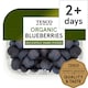 image 1 of Tesco Organic Blueberries 150G