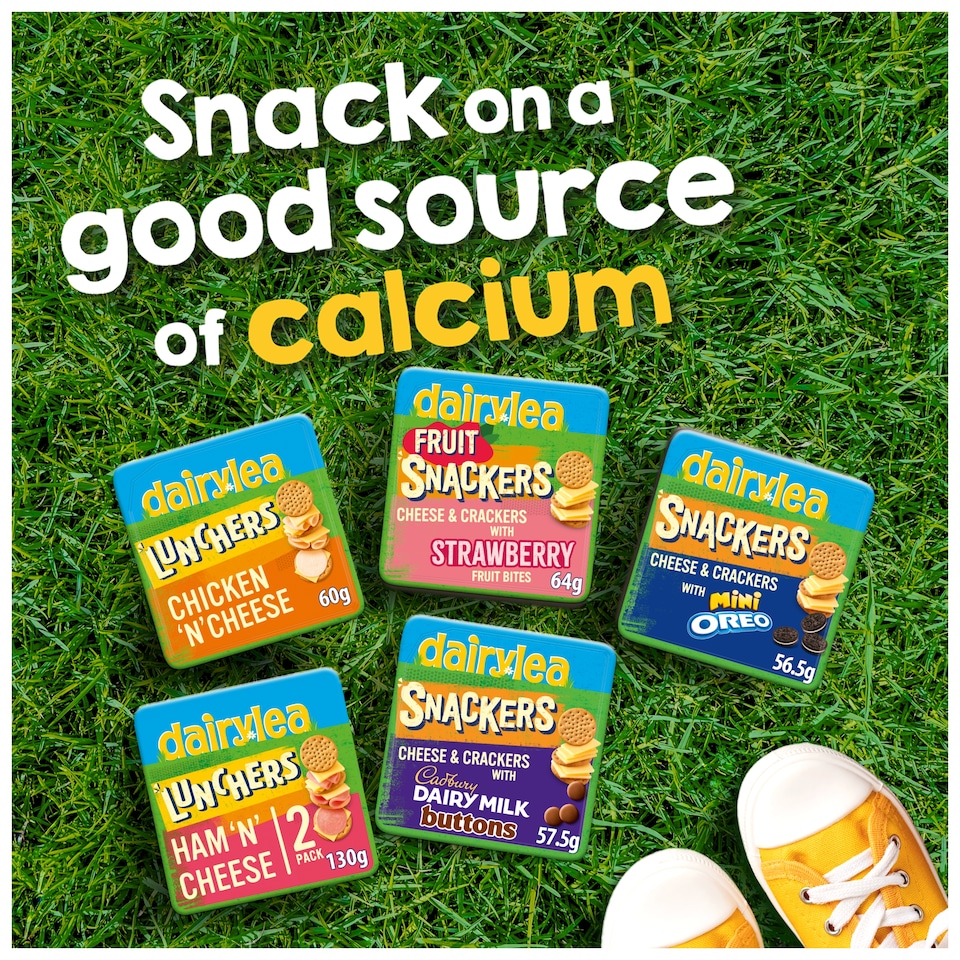 image 1 of Dairylea Lunchers Chicken 'N' Cheese 60g