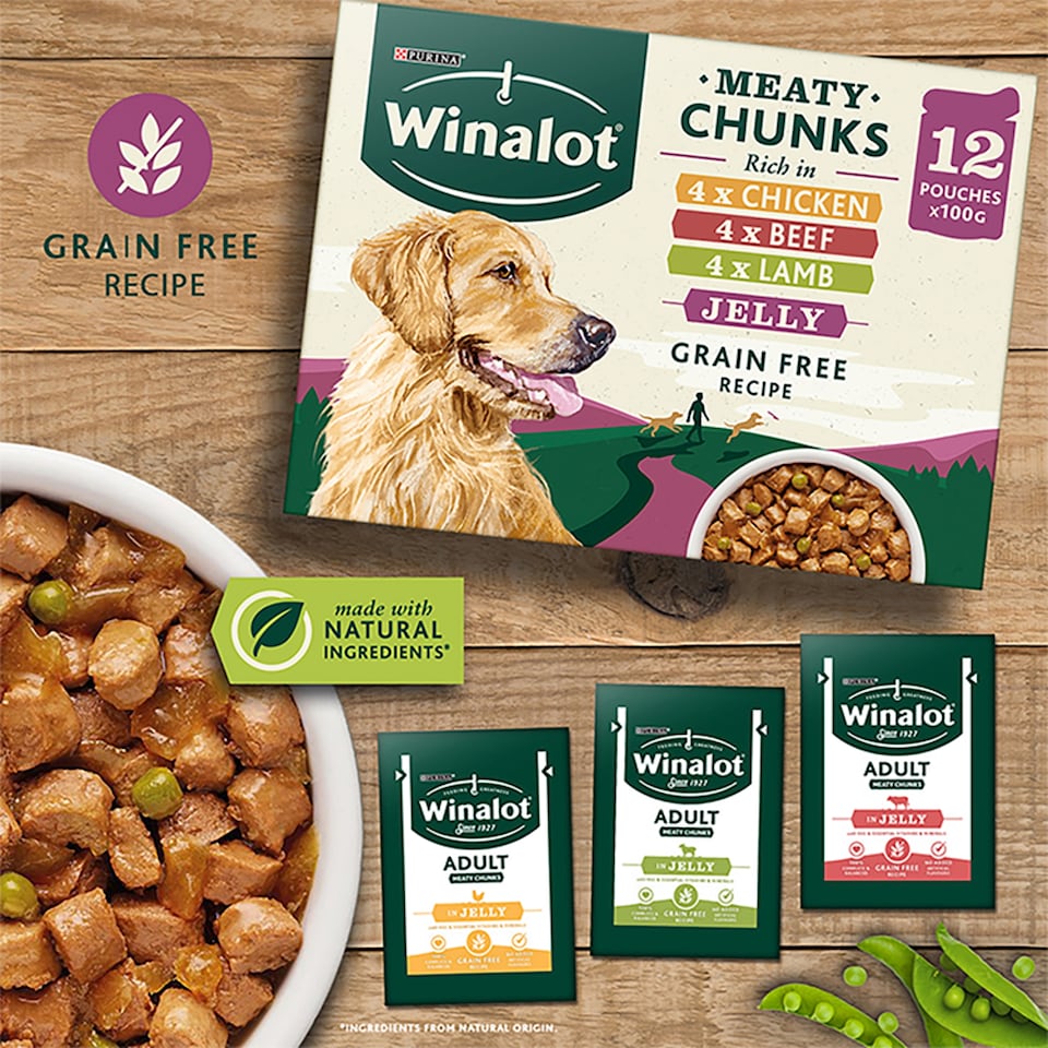 image 1 of Winalot Wet Dog Food Pouches Meaty Chunks In Jelly 12X100g