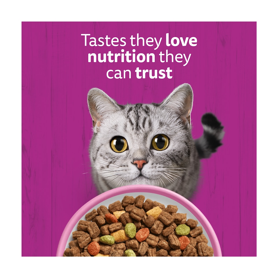 image 1 of Whiskas Adult 1+ Dry Cat Food Biscuits Salmon 1.9Kg