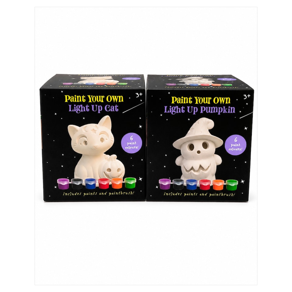 Halloween Craft Paint Your Own Light Up Cat / Pumpkin Assortment