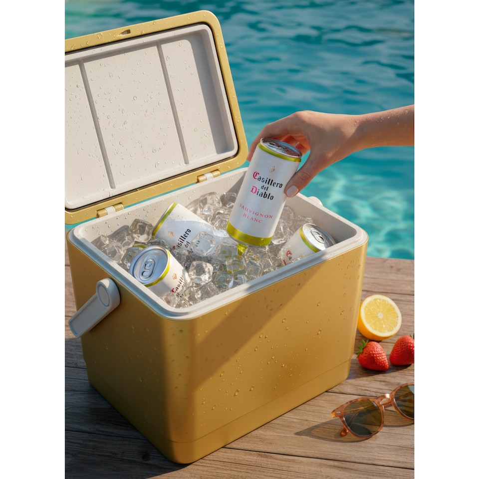 image 1 of Casillero del Diablo Sauvignon Blanc 187ml Cans