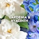image 2 of Lenor Outdoorable Fabric Conditioner Capri Garden & Hyacinth 53w 742ml