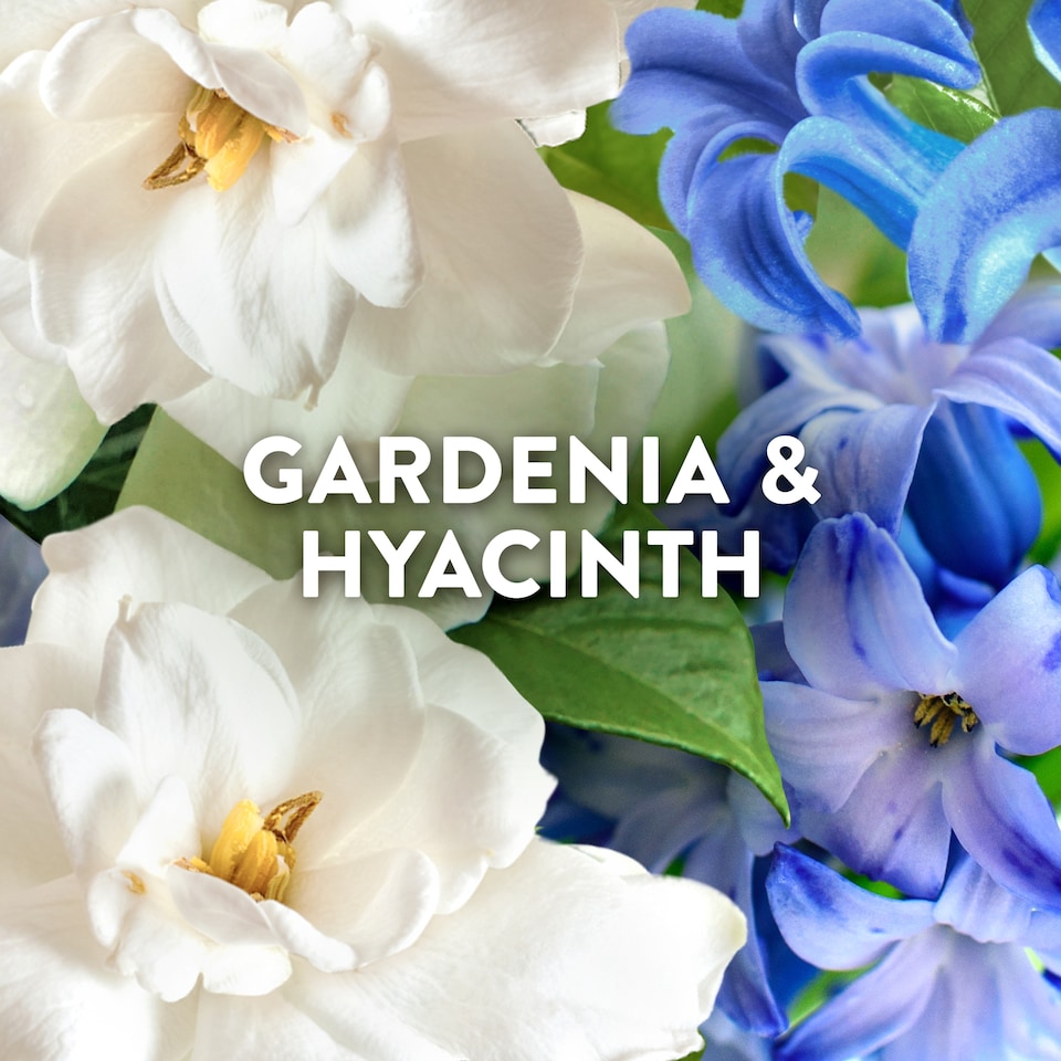 image 1 of Lenor Outdoorable Fabric Conditioner Capri Garden & Hyacinth 53w 742ml