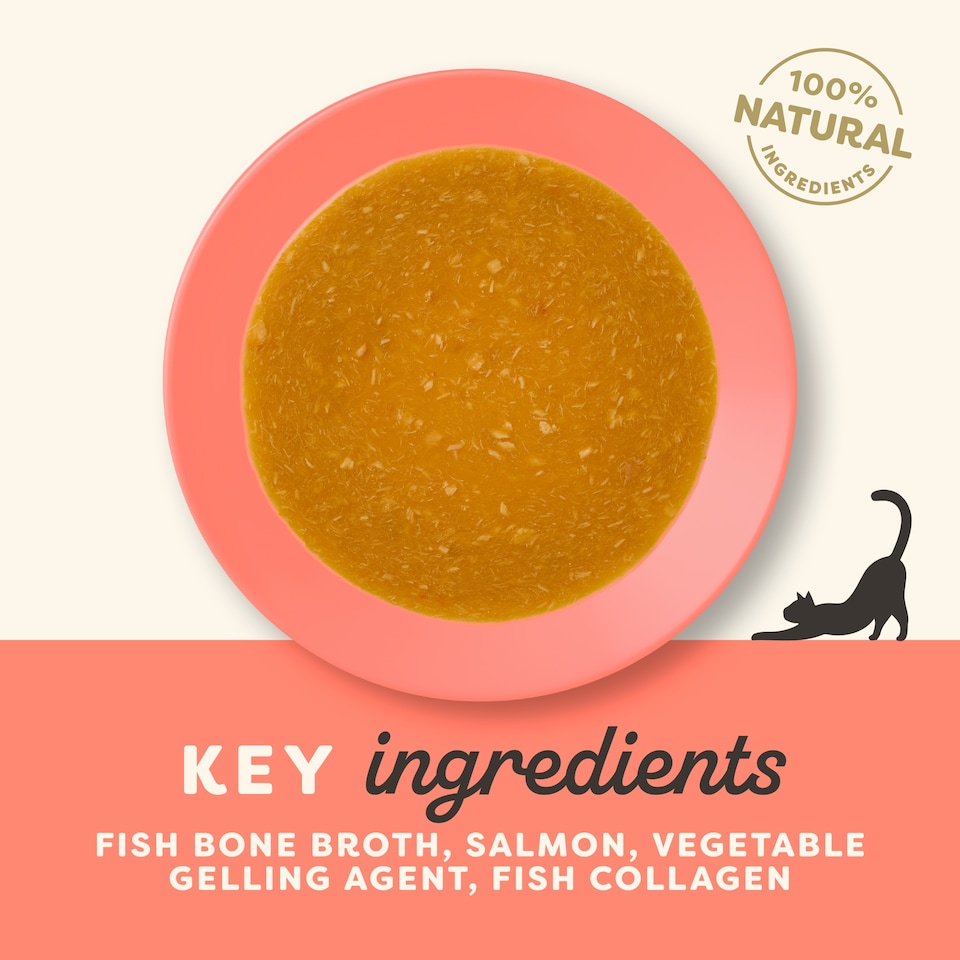 image 1 of Applaws Natural Wet Cat Food Fish Bone Broth with Salmon Spout Pouch 85g