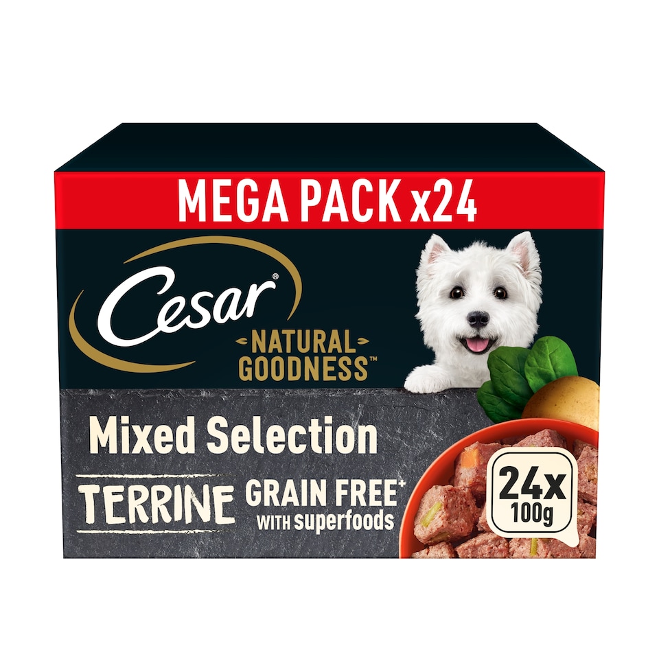 image 1 of Cesar Natural Goodness Grain Free Adult Wet Dog Food Mix Terrine 24x100g Tray