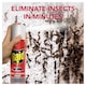 image 2 of Raid Ant & Cockroach Insect Killer Aerosol Spray 300ml