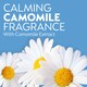 image 5 of Dettol With E45 Handwash Camomile 250Ml