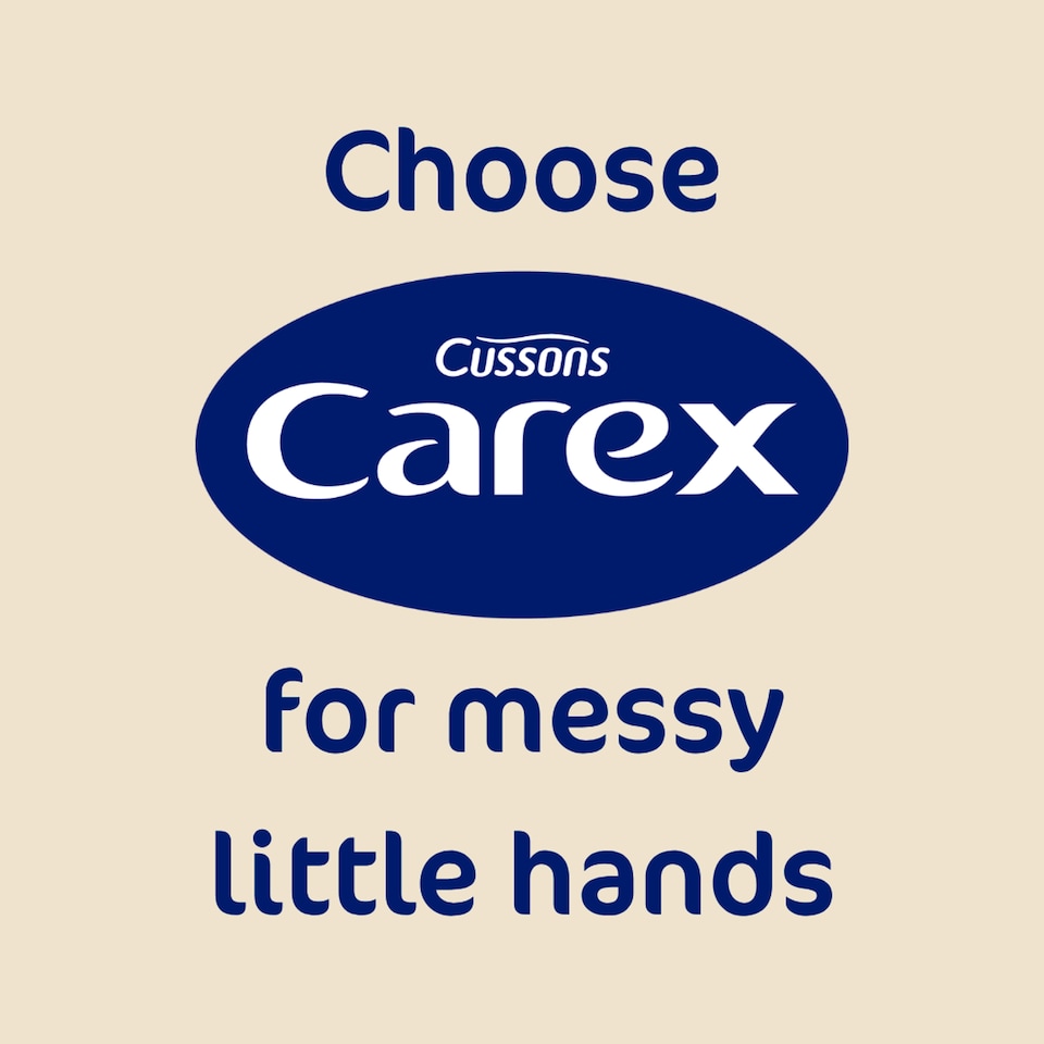 image 1 of CAREX LIQUID HANDWASH JULIA DONALDSON'S 'ROOM ON THE BROOM' 250ML
