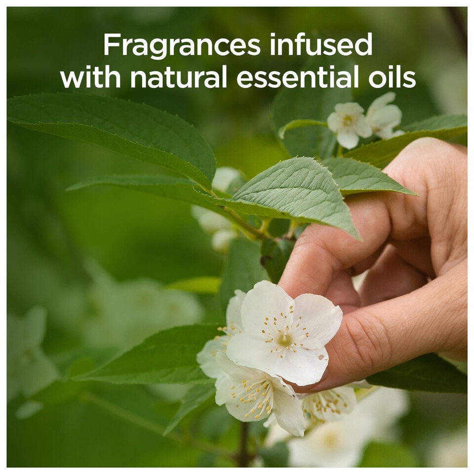 image 1 of Air Wick Air Freshener Fresh Dew & White Jasmine 236Ml