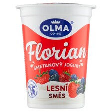 Olma Florian Creamy Yogurt Forest Fruit 150g