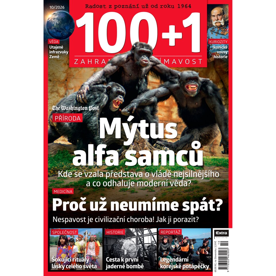 100+1