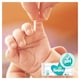 image 3 of Pampers Sensitive Baby Wipes 6 Pack 336 Wipes
